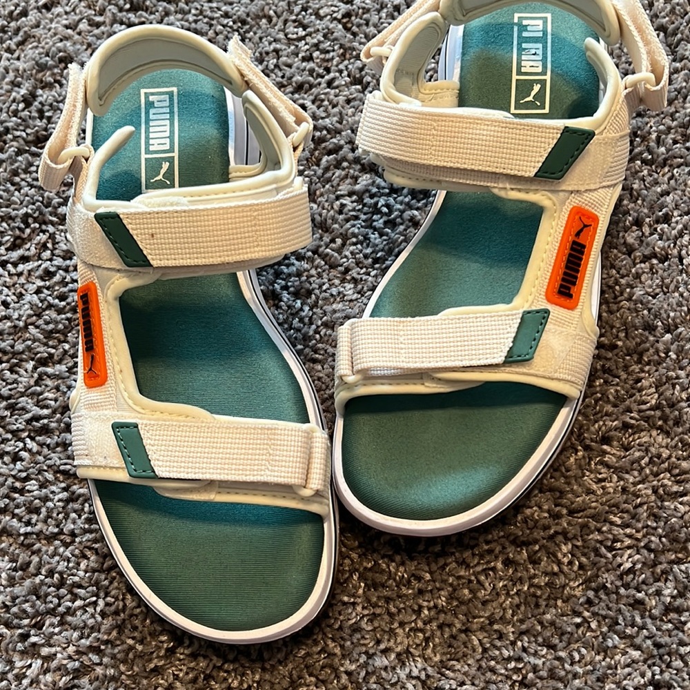 Puma